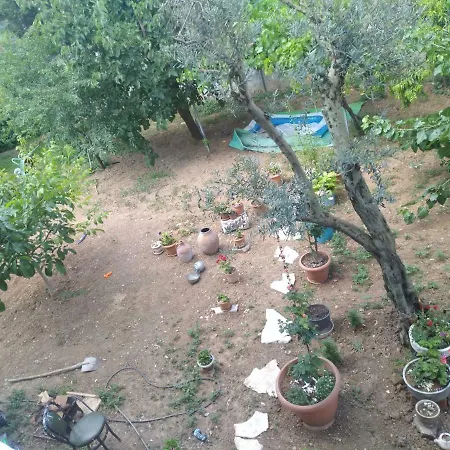 Doburca Kat 2 * בורסה